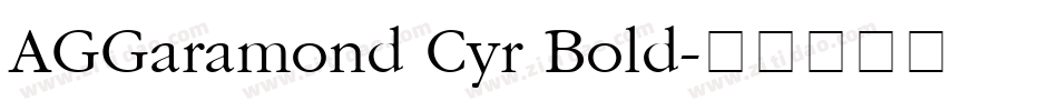 AGGaramond Cyr Bold字体转换